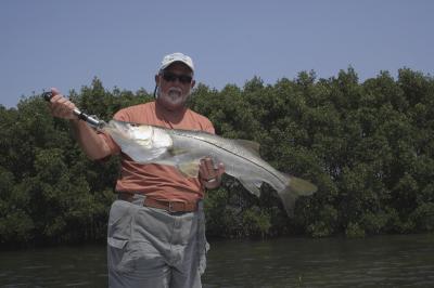 Tampa Bay Snook